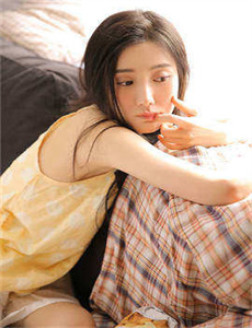 雏菊2006